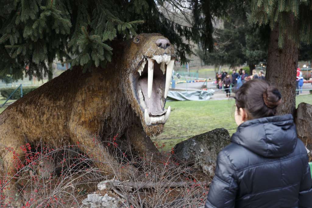Skupina prerijskih pasa sa novim životinjama ovo proljeće zajedno sa postojećim stanovnicima doline, dočekuje posjetioce u Pionirskoj dolini u Sarajevu